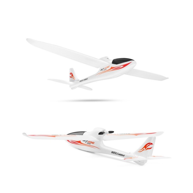 Sky king hot sale rc plane